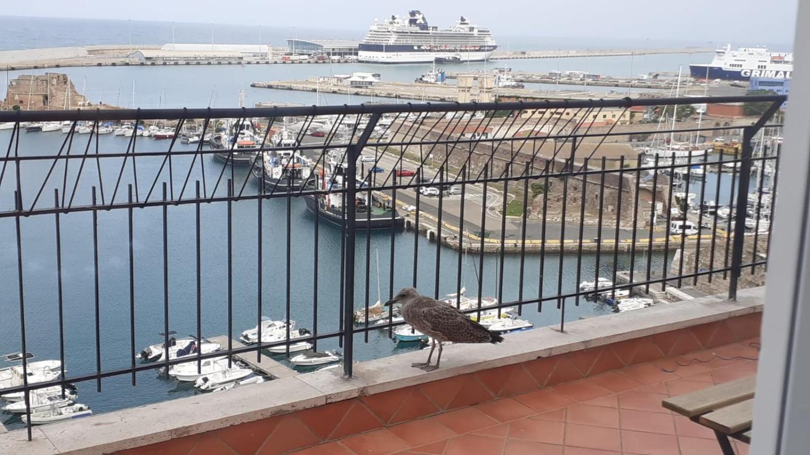 Mare Fuori Apartment شيفيتافيكْيا المظهر الخارجي الصورة